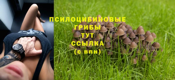 спайс Володарск